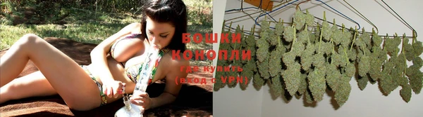 кокс Лабытнанги