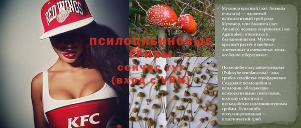 винт Ладушкин