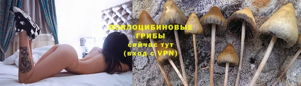кокс Лабытнанги
